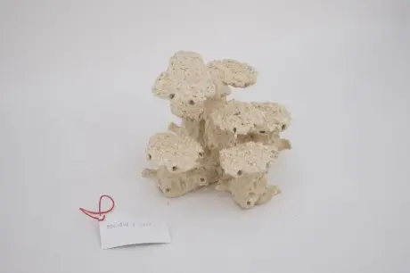 Riffsäule gerade links