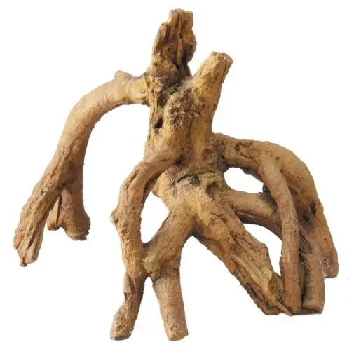 Root mangrove 17x11,5x14 cm