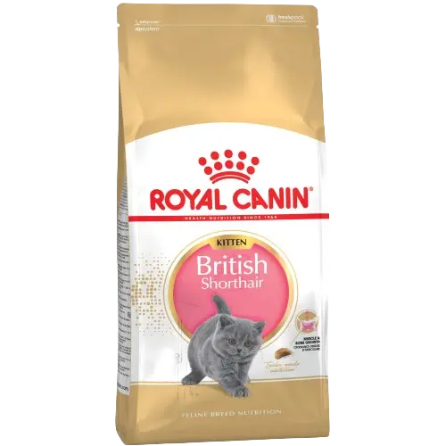 Royal Canin Feline British Shorthair Kitten