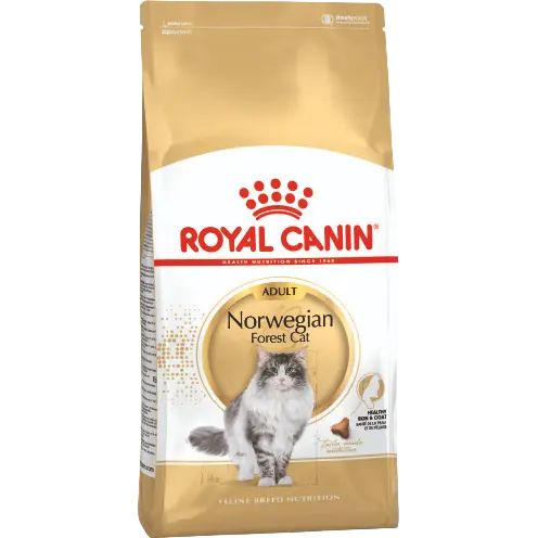 ROYAL CANIN Norwegische Waldkatze