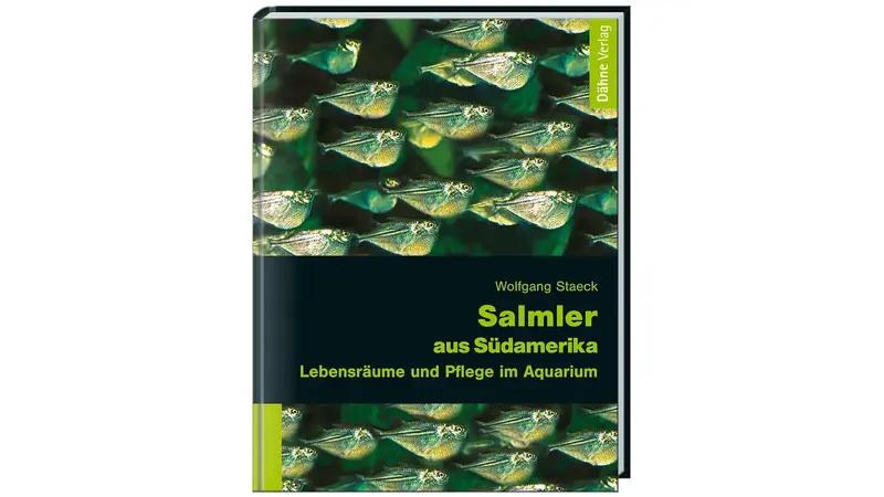 Salmler aus Südamerika