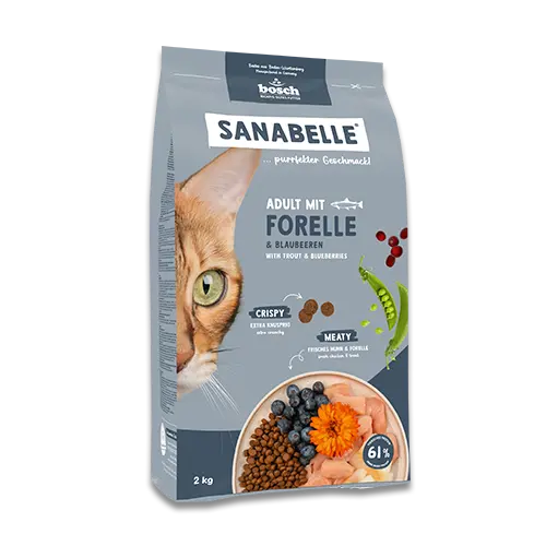 Sanabelle Adult mit Forelle