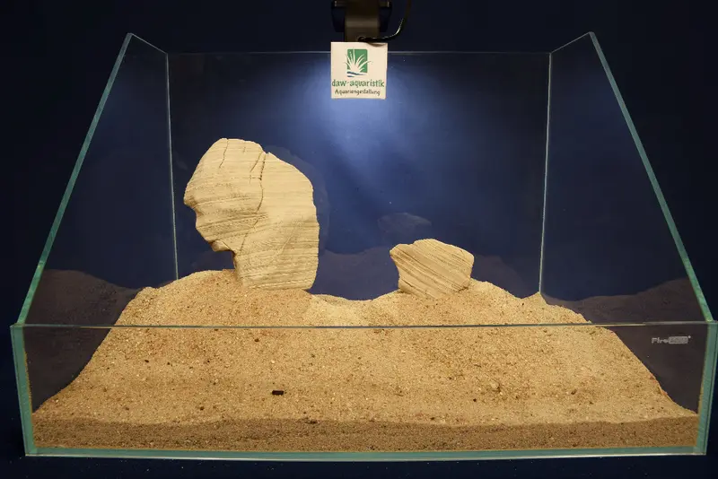 Sandwüstensteine / Tower Rock / Aquarium Steine - exklusive Schaustücke #026