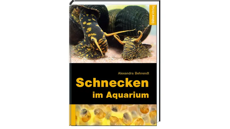 Schnecken im Aquarium - Alexandra Behrendt