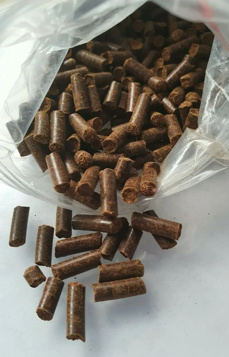 Seemandelbaumblätter Erlenzapfen Futter Sticks 25g Catappa-Erlen Garnelen Krebs