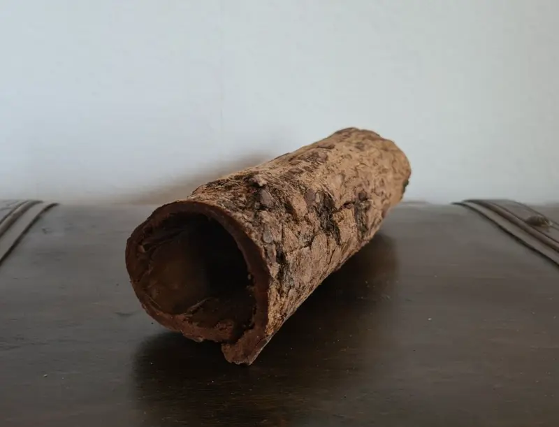 Seemandelbaumrinde / Catappa Bark Röhre 19x7x6cm für Garnelen Welse Höhle