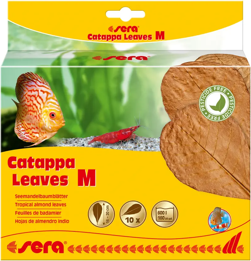 Sera Catappa Leaves M 10 Stück - Seemandelbaumblätter Laub Welse Aquarium