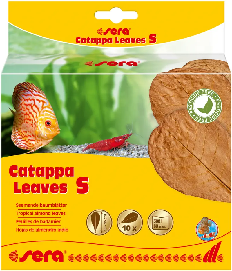 Sera Catappa Leaves S 10 Stück - Seemandelbaumblätter Laub Welse Aquarium