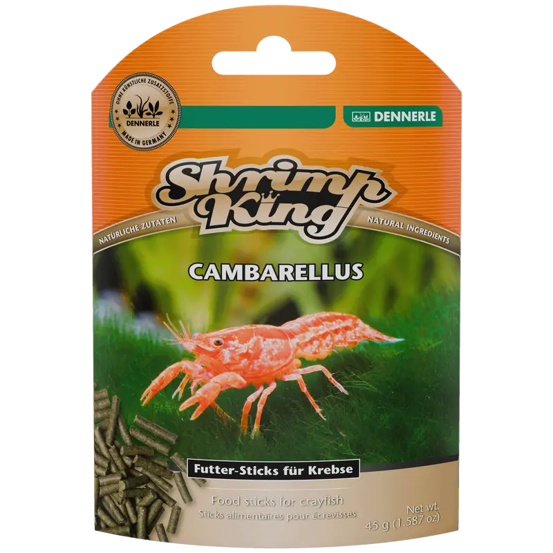 Shrimp King Cambarellus