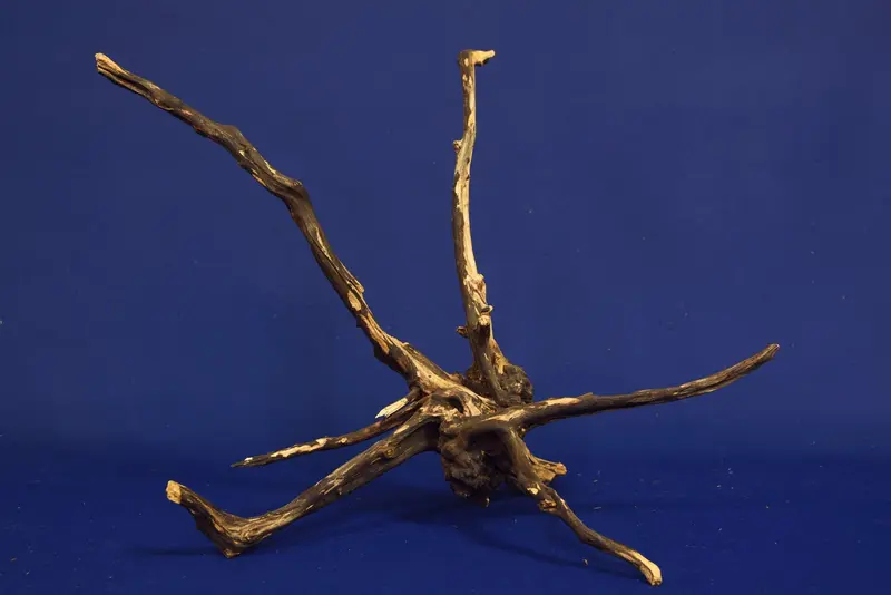Slim Wood / Scaperwood / Aquarium Wurzel 267