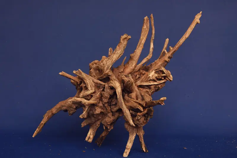 Slim Wood / Scaperwood / Aquarium Wurzel 279