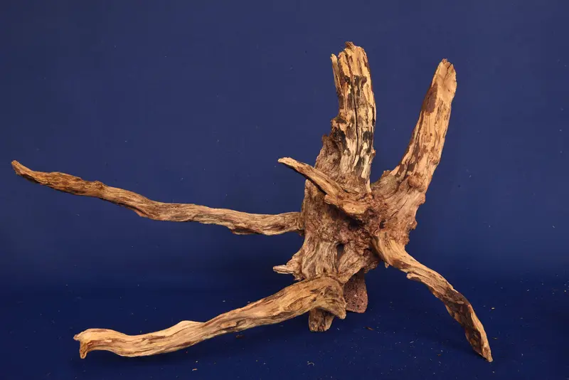 Slim Wood / Scaperwood / Aquarium Wurzel 283