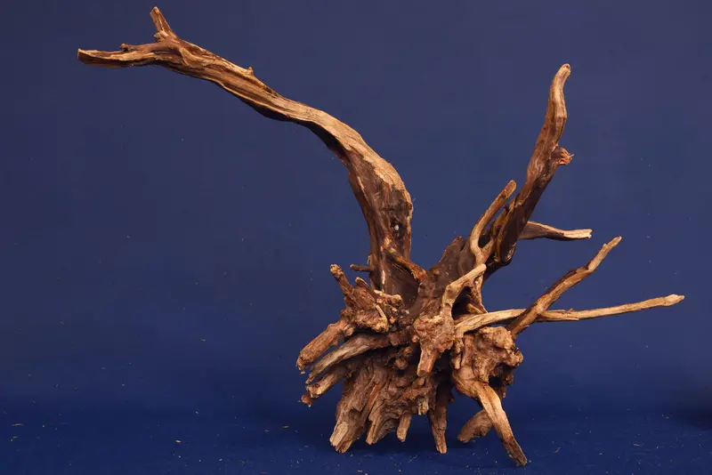 Slim Wood / Scaperwood / Aquarium Wurzel 289