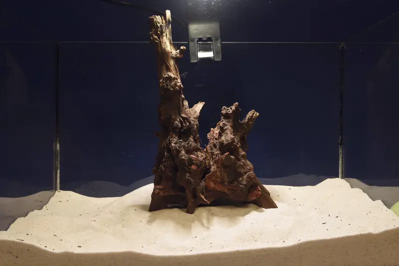 Slim Wood / Scaperwood / Aquarium Wurzel 319