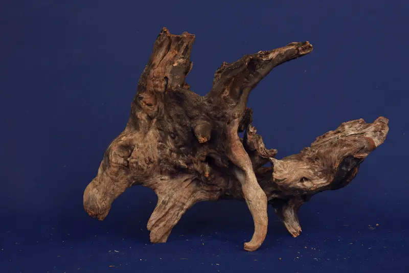 Slim Wood / Scaperwood / Aquarium Wurzel 323