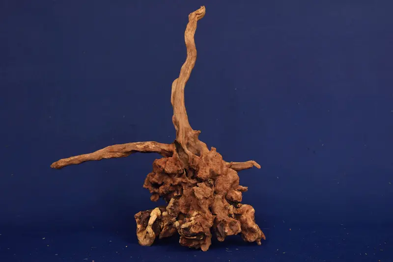Slim Wood / Scaperwood / Aquarium Wurzel 331