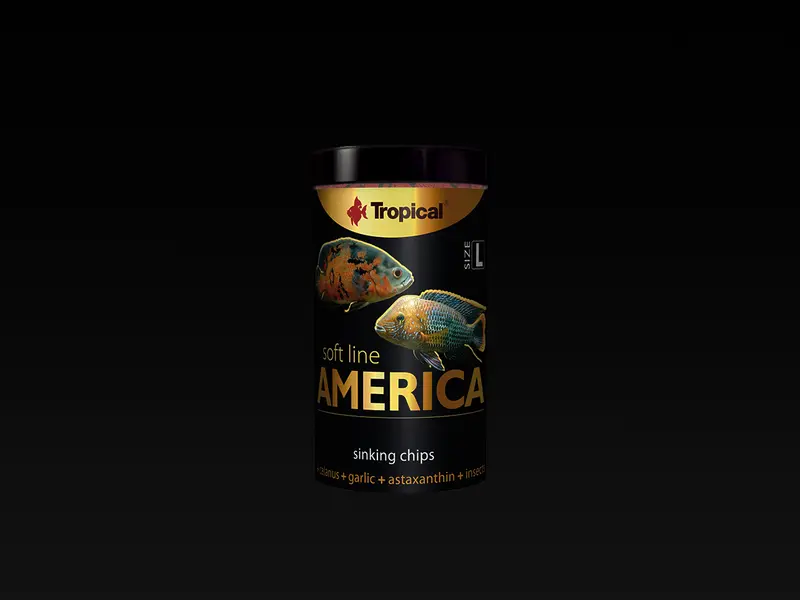 Soft Line America L