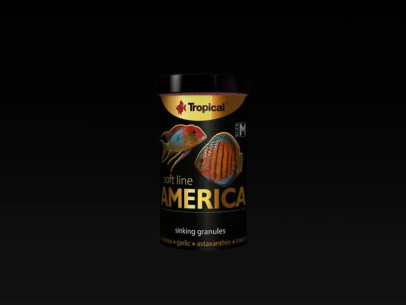 Soft Line America M