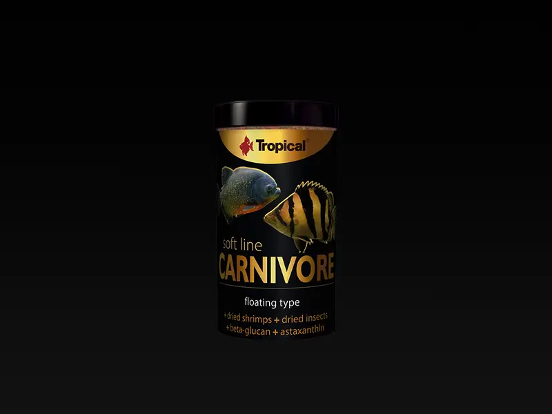 Soft Line Carnivore