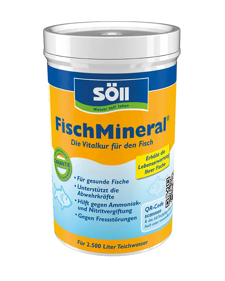 Söll FischMineral