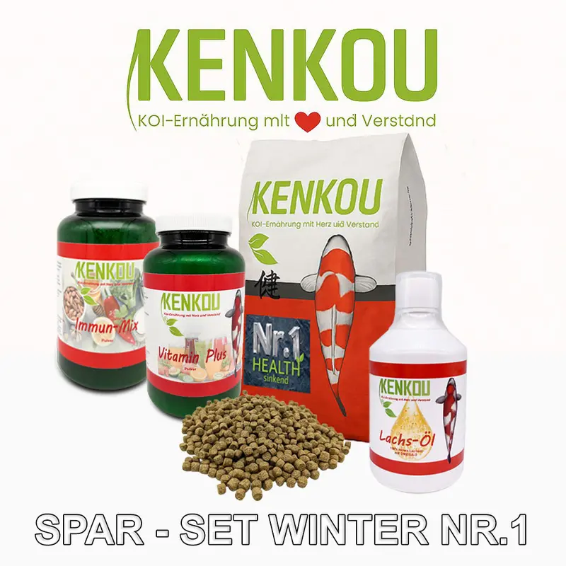 Spar-Set Winter Nr.1- Health + Lachsöl, Vitamine, Immun-Mix