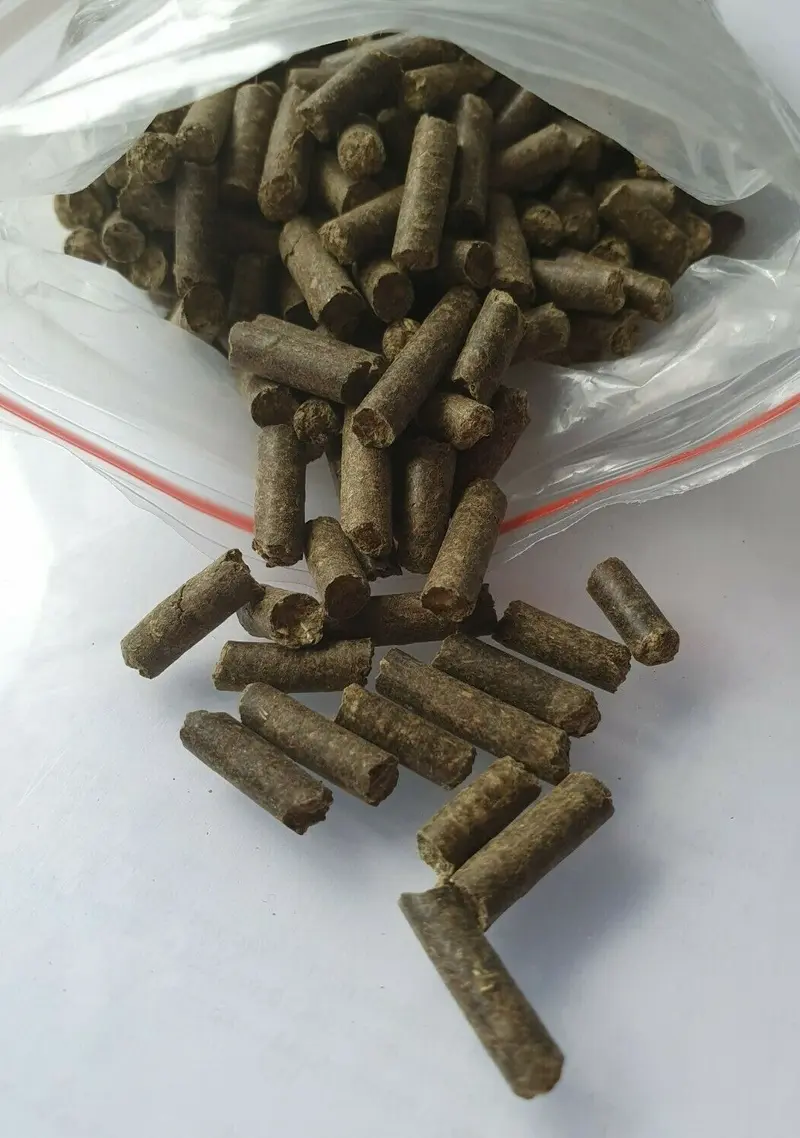 Spitzwegerich Futter Sticks 100g - Futtersticks Garnelen + Krebse Aquarium TOP
