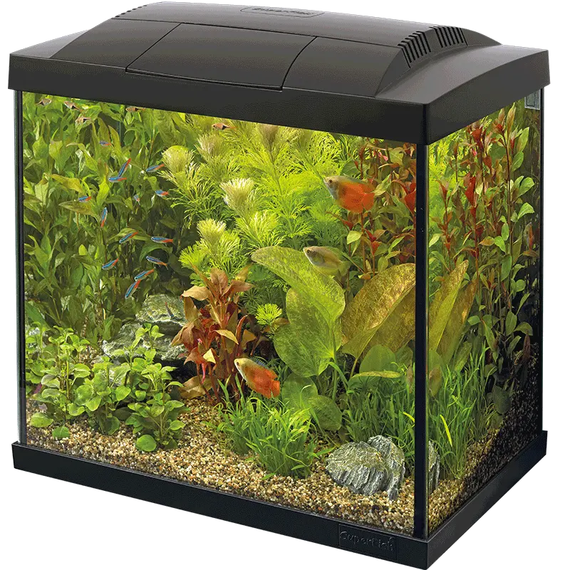 Start 30 Tropical Kit