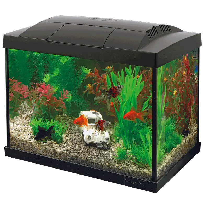 Starter 20 Aquarium Kit