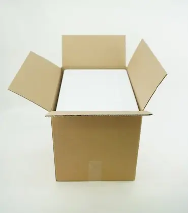 Styropor Box mit Umkarton