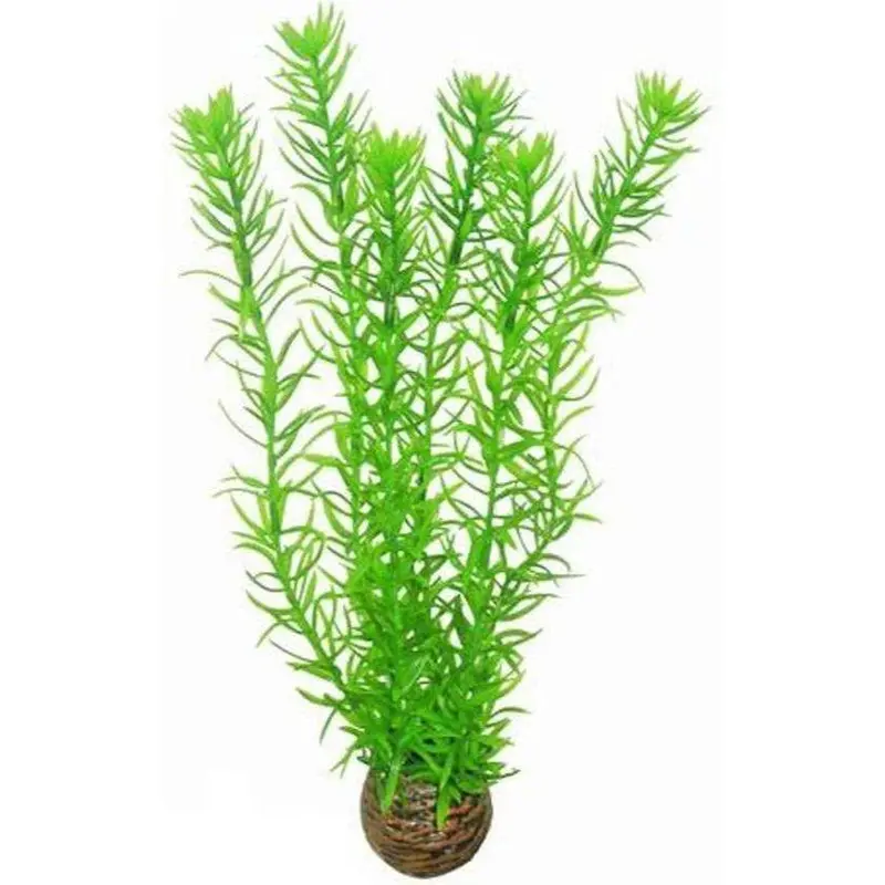 SuperFish Easy Plant Hoch 30 cm - nr1
