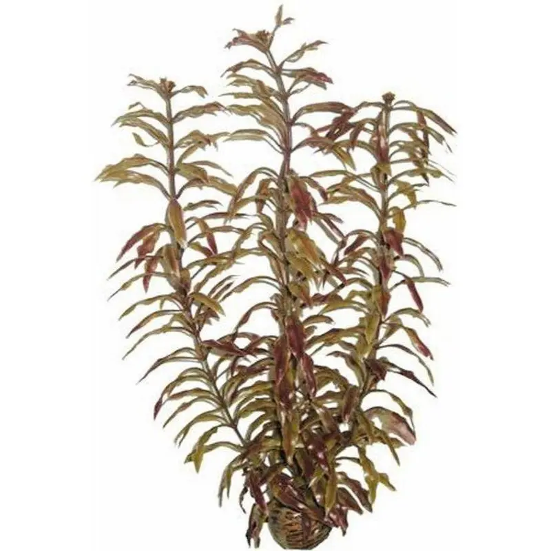 SuperFish Easy Plant Hoch 30 cm - nr3