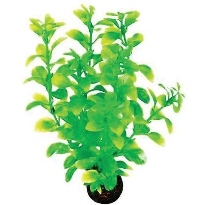 SuperFish Easy Plant Medium 20 cm - nr2