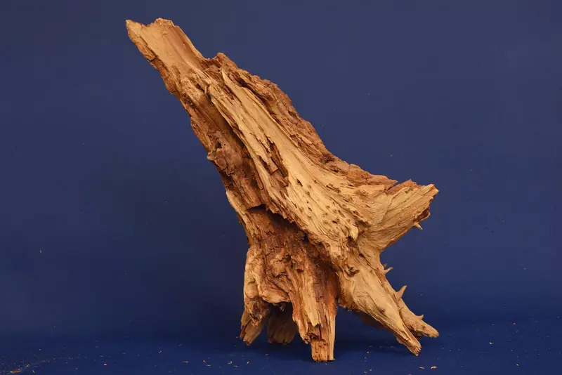 Taigaholz / Scaperwood exquisite / Aquarium Wurzel 115