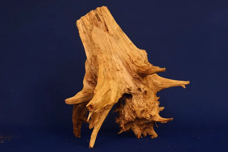 Taigaholz / Scaperwood exquisite / Aquarium Wurzel 116