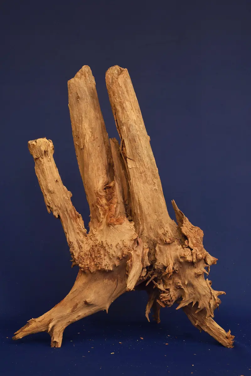 Taigaholz / Scaperwood exquisite / Aquarium Wurzel 119