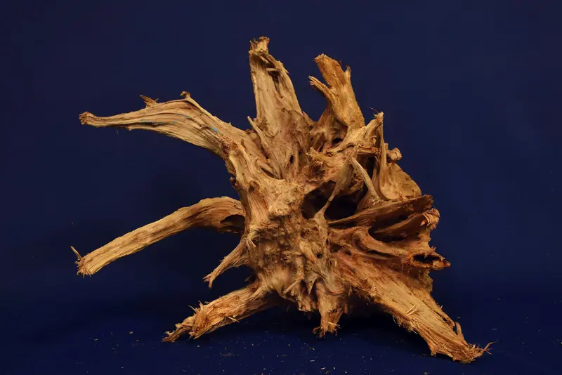 Taigaholz / Scaperwood exquisite / Aquarium Wurzel 132