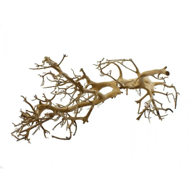 Tantora drift branch wood