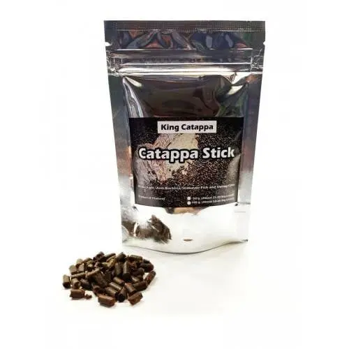 Tantora King Catappa Sticks