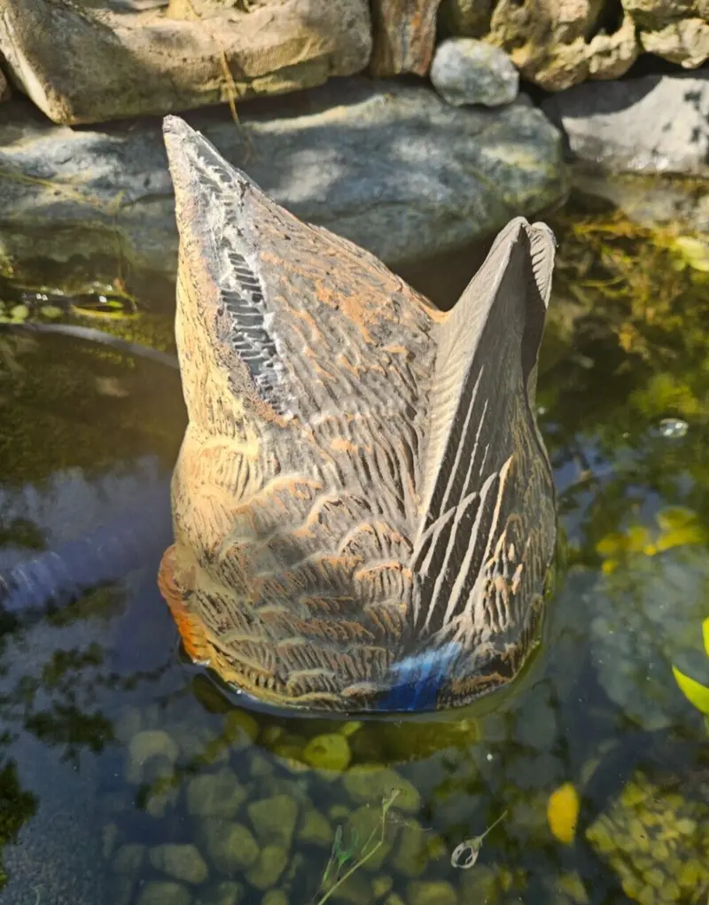 Tauchente schwimmend - ca. 22x13cm Ente Gartenteich Teichente Deko Garten