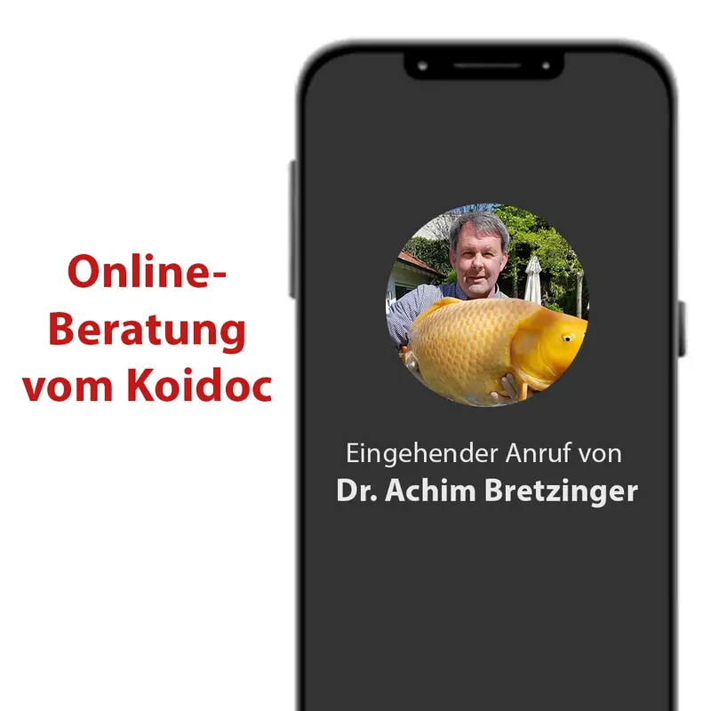 Telemedizinische Beratung von FischDoc Bretzinger