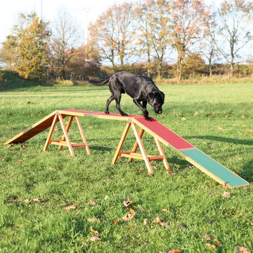 TRIXIE Dog Activity Agility Steg