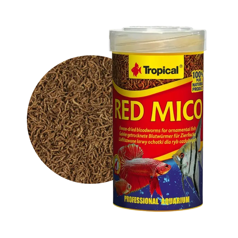 Tropical Red Mico – gefriergetrocknete Blutwürmer