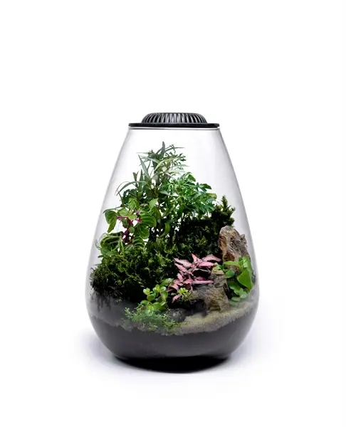 Wabi Kusa Bio Bowl 175