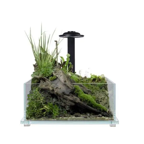 Wabi Kusa Bio Tank