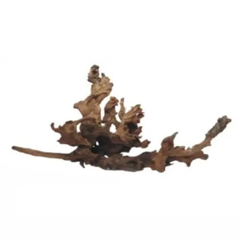 Wabi Kusa driftwood