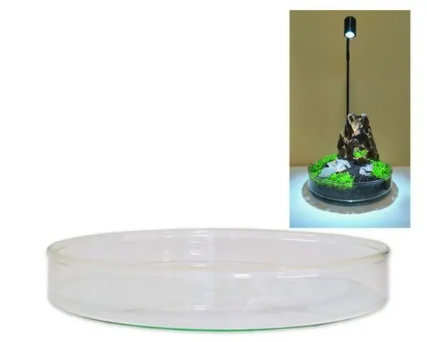 Wabi Kusa Glas Schale 15cm x 2cm - formschönes Mini Terrarium Pflanzen