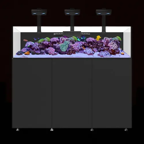 WATERBOX AQUARIUMS INFINIA FRAG & REEF & PENINSULA