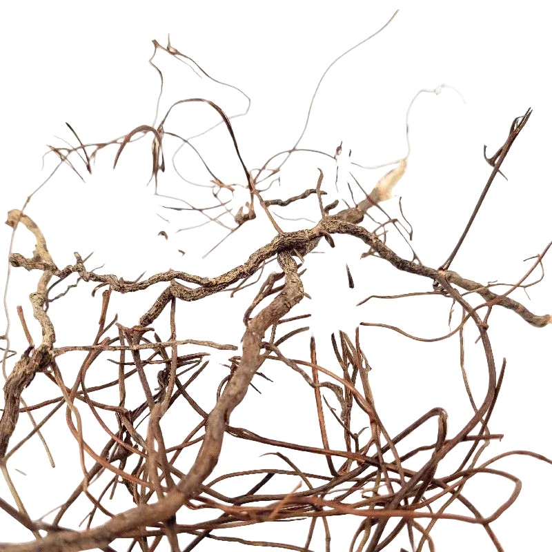 WIO Mini Roots Mix – filigrane Wurzeln fürs Aquascaping 80 g