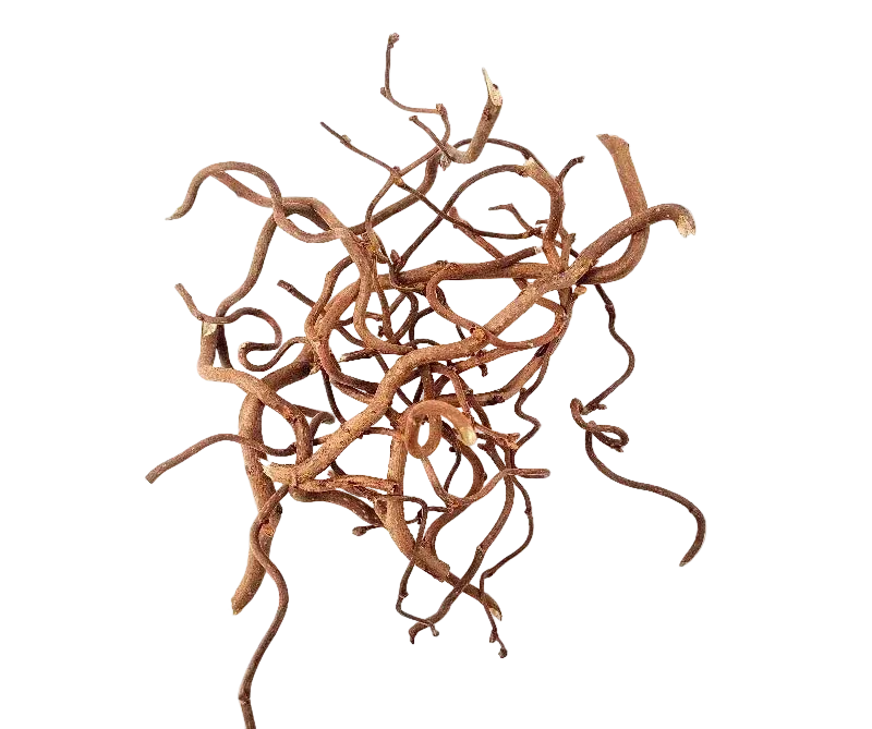 WIO Twisted Roots Mix – gedrehte Wurzeln fürs Aquascaping
