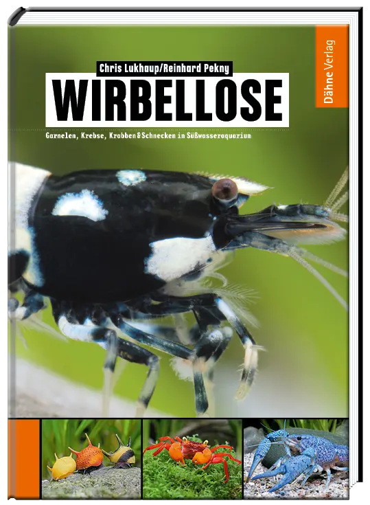 Wirbellose Süßwasser